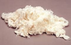 Bamboo fibers for spinning and non-woven applications from 1.67 to 5.56 dtex