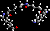 Polyamide molecule