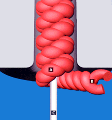 Elasto Twist construction