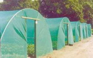 Protect your crop with high density (HDPE) and high tenacity (GRET) polyethylene monofilament yarns bird net