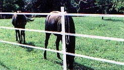 High density (HDPE) and high tenacity (GRET) polyethylene monofilament yarns for horse fence tapes and ropes