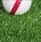 Vitagrass monofilaments for artificial grass on sports grounds like golf