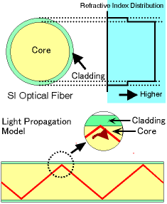 cross-sectional view of an PMMA plastic optical fiber POF which reflects light