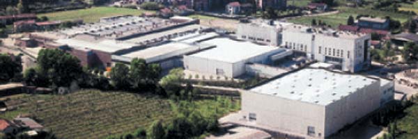 Miroglio Saluzzo polyester plant