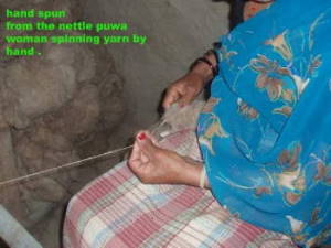 Hand spinning of natural wild nettle fibers in the Himalayans