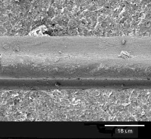 microscopic picture of polyamide nylon