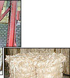 Abaca Fiber - processing and packing into bales