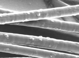 bioactive fiber under the electron microscope