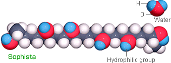 Sophista is the first synthetic fiber with hydrophilic radical