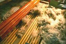 first carding of flax fibers (orientation)