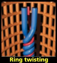 ring twisting system