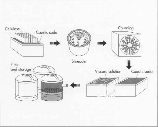 To make rayon, sheets of purified cellulose are steeped in caustic soda, dried, shredded into crumbs, and then aged in metal containers for 2 to 3 days. The temperature and humidity in the metal containers are carefully controlled. After ageing, the crumbs are combined and churned with liquid carbon disulfide, which turns the mix into orange-colored crumbs known as sodium cellulose xanthate. The cellulose xanthate is bathed in caustic soda, resulting in a viscose solution that looks and feels much like honey.