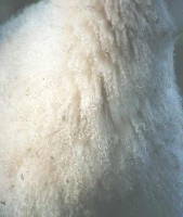 cashmere fleece - also called goat wool