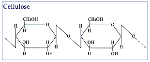 Chemical structure cellulose