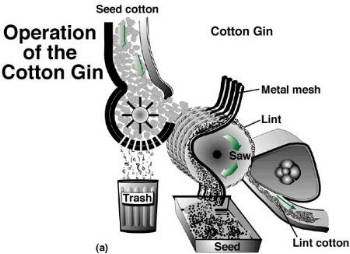 cotton ginning