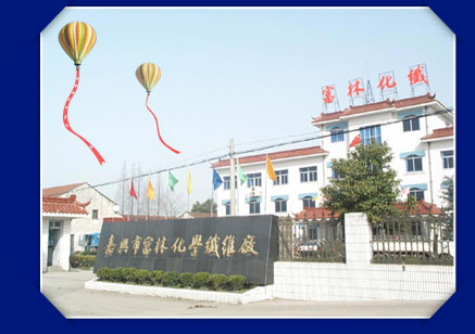 Jiaxing Fulin polyester staple fiber and tow producer - factory building