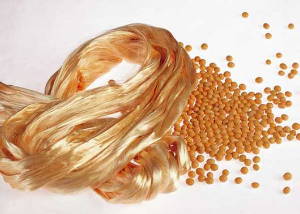 soybean protein fiber and beans