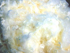 bleached soybean protein fiber