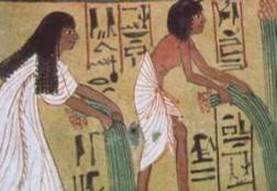 flax culture in ancient Egypt