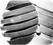 microscopic view of a Wramp conjugated filament 